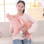 Sac5db3abeacd4d21afc2882e11edaa3dD